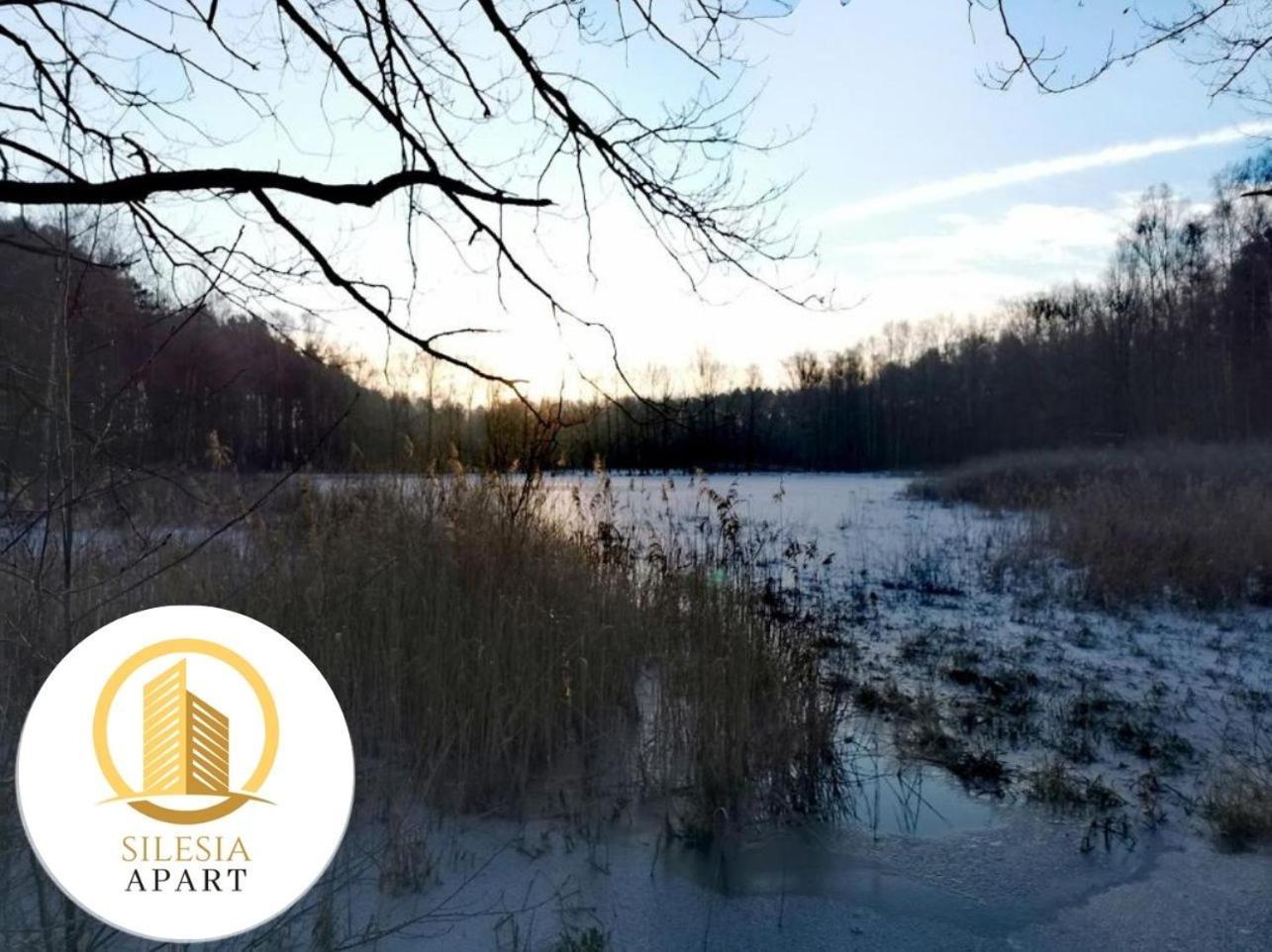 Apartament Ceglany Tychy Bagian luar foto